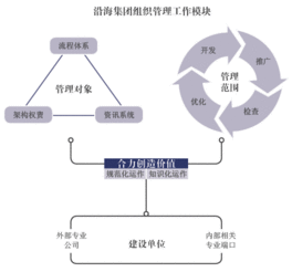 沿海集团业界领先的企业组织创新力